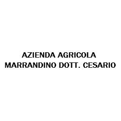 Azienda Agricola Marrandino Cesario
