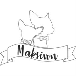 Allevamento Chihuahua Maksivon Lombardia