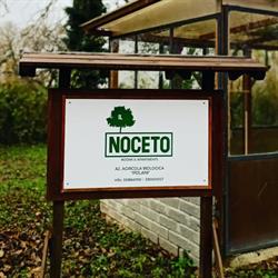 Il Noceto Ristorante Pizzeria
