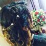 Capelli & Benessere