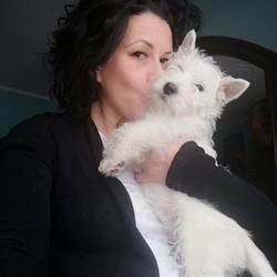 Love Pet Toelettatura e Spa