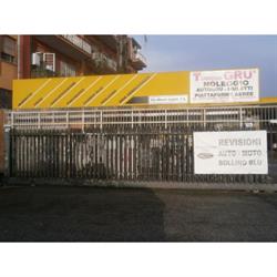 Centro Europeo Assistenza 2000 - Turriziani Gru