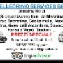 Pellegrino Services