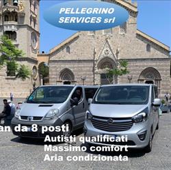 Pellegrino Services Tour e Transfer