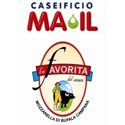 Caseificio Mail SRL