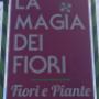 L'Insegna