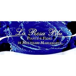 La Rosa Blu Fiori e Piante
