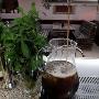 # Hashtag Bar di Chen Feifei