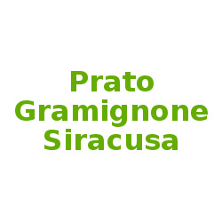 Prato Gramignone Siracusa