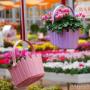 Vivai Piante e Fiori - Bardin Garden Store
