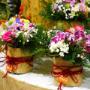 Piante Bardin Garden Store