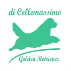 Allevamento Colle Massimo