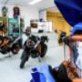 Gallery Cliente