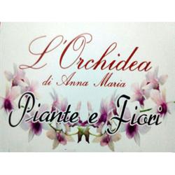 L’Orchidea di Zinchiri Anna Maria