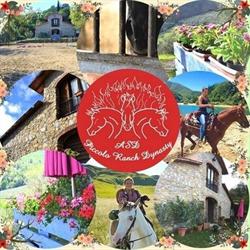 Piccolo Ranch Dynasty asd