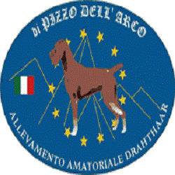 Feliziani Dott. Mauro Ambulatorio Veterinario Centro Cinofilo Pizzo dell'Arco