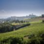 Tenuta La Vigna