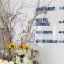Gallery Professionale