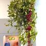 Stefania Colurso Progetto Benessere
