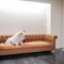 Gallery Professionale