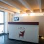 Gallery Professionale