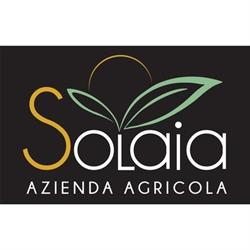 Solaia Azienda Agricola