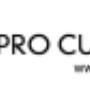 Proattiva