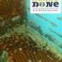 Disinfestazione Blatte