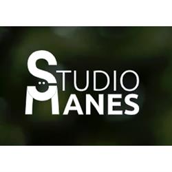 Studio Manes Stp Srl
