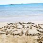 Walk Around Sicily beach