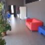 Palestra New Fitness