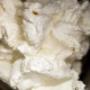 Crema