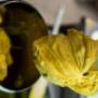 Pistacchio