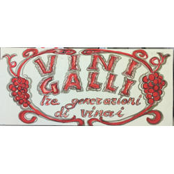 Vini Galli Nico
