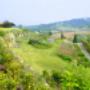 Tenuta Colombarola