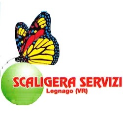 Scaligera Servizi Spurgo Pozzi
