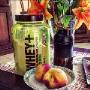International Sport Nutrition
