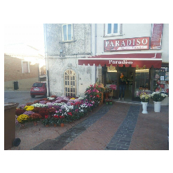Recchia Rosa