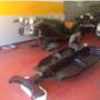 Gallery Cliente