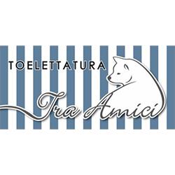 Toelettatura tra Amici