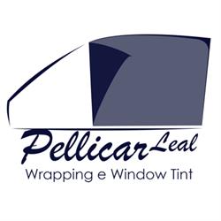 Pellicar leal pellicole oscurati vetri auto a domicilio