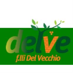 Delve
