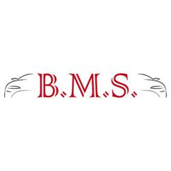 Autofficina B.M.S.