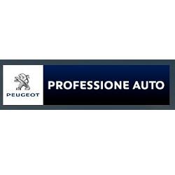Professione Auto