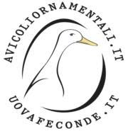 allevamento avicolo avicoliornamentali.it