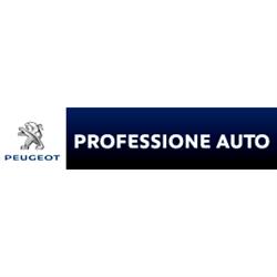 Professione Auto