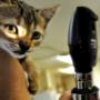 Servizi Veterinari