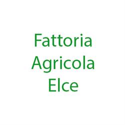Fattoria Agricola Elce