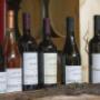 Gallery Professionale