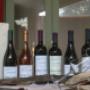 Gallery Professionale